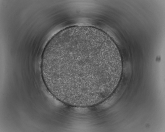 X0000092220856200709281042