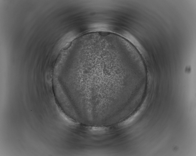 X0000092220857200709281042