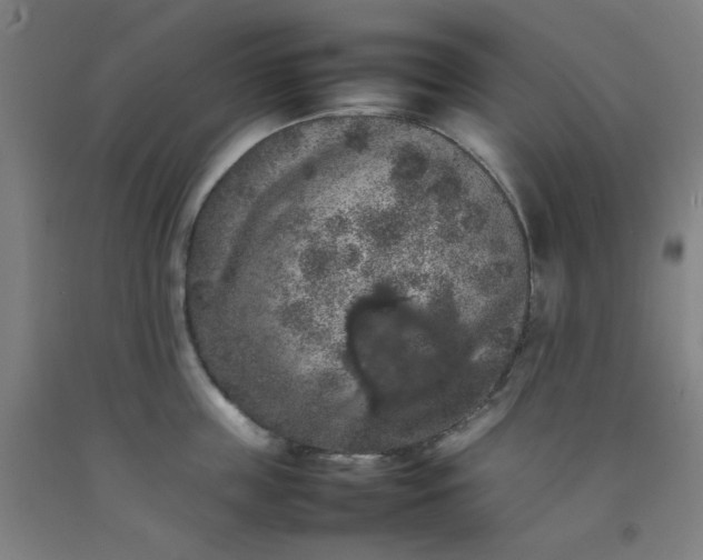 X0000092220859200709281042