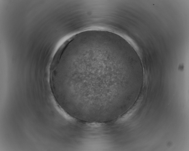 X0000092220862200709281042