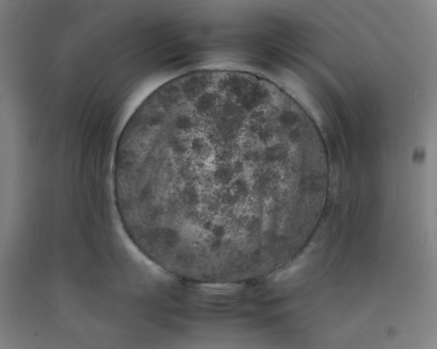 X0000092220863200709281042