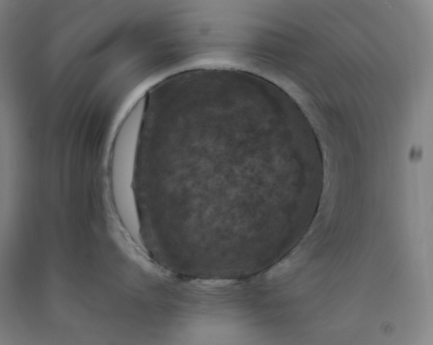 X0000092220864200709281042