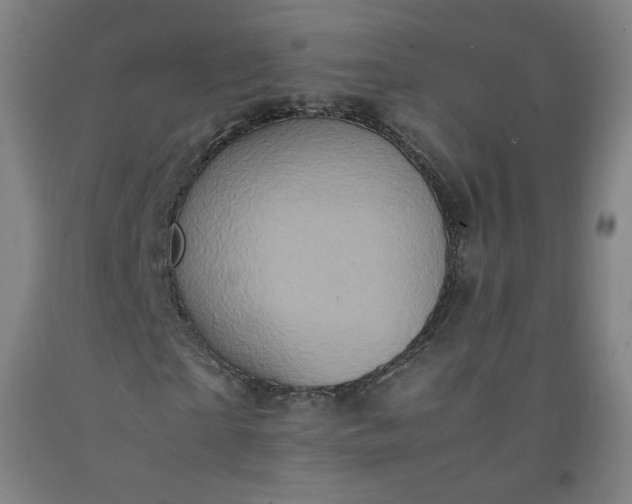 X0000092220865200709281041
