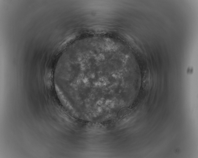 X0000092220866200709281041