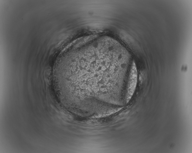 X0000092220867200709281041
