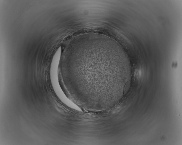 X0000092220868200709281041