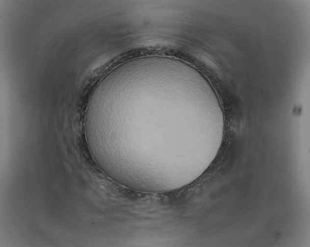 X0000092220869200709281041