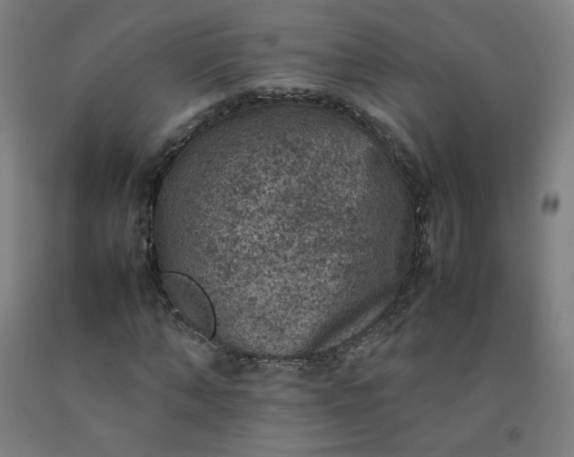 X0000092220870200709281041