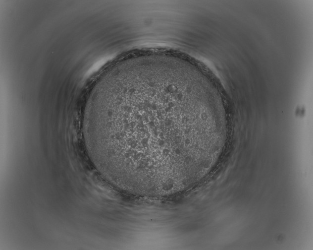 X0000092220871200709281041