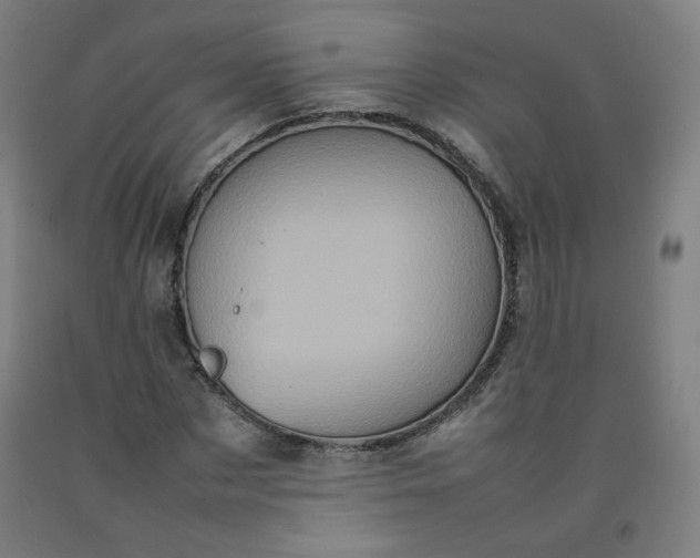 X0000092220873200709281041