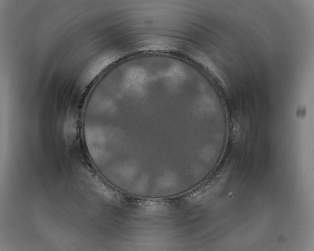 X0000092220874200709281041