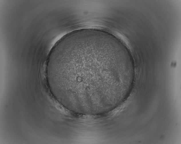 X0000092220875200709281041