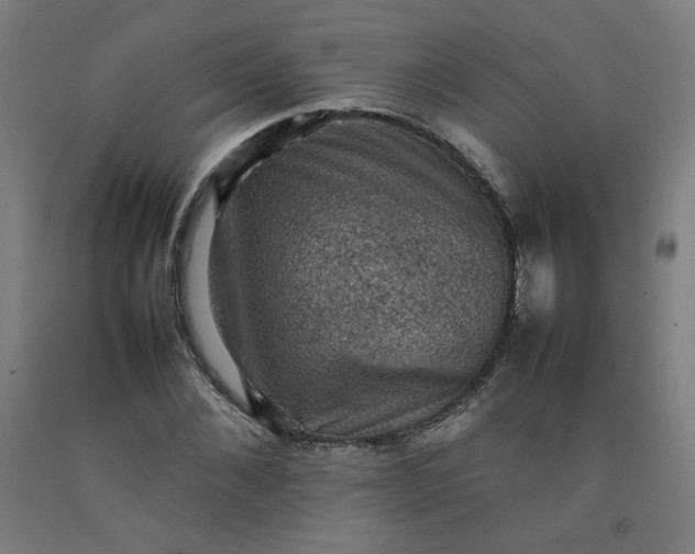 X0000092220876200709281041