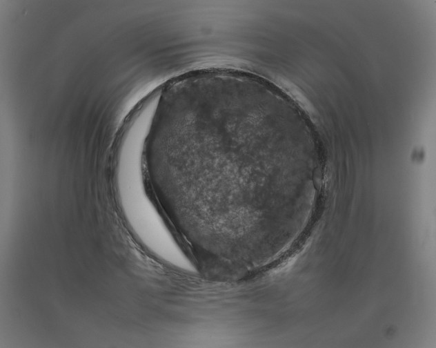X0000092220877200709281041