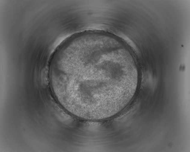 X0000092220878200709281041