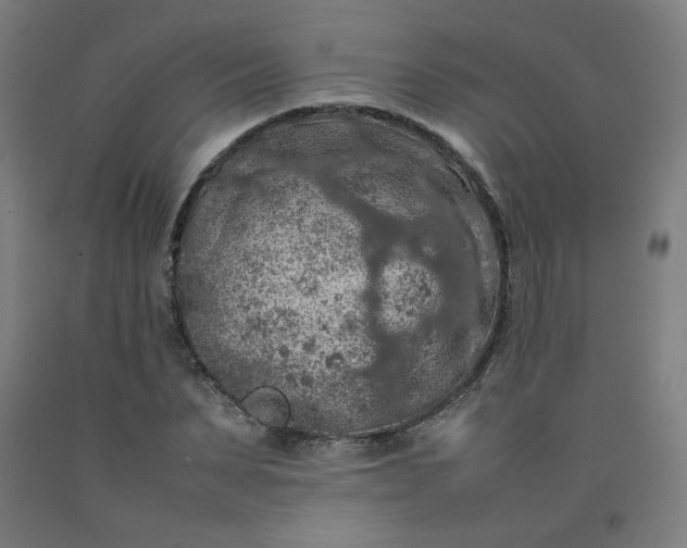 X0000092220879200709281041