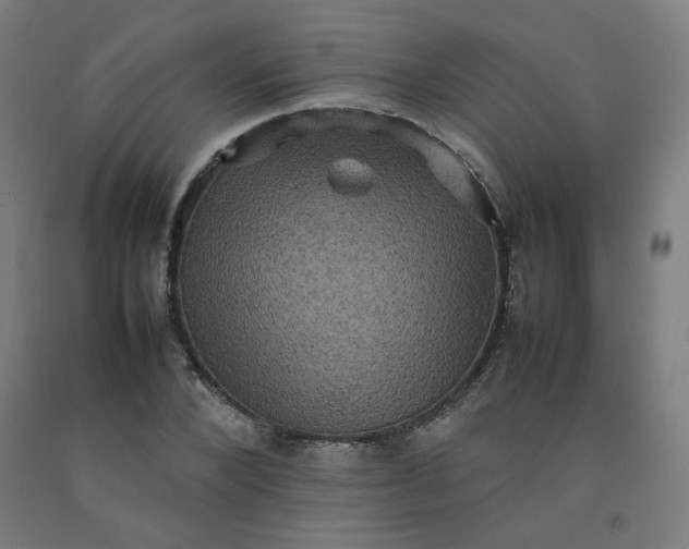 X0000092220880200709281041