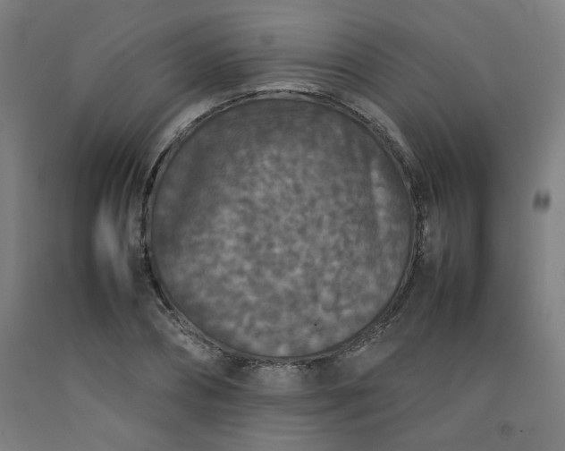 X0000092220882200709281041