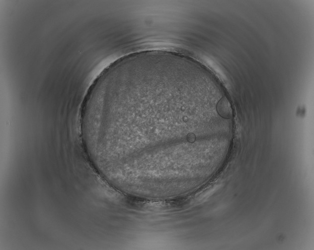 X0000092220883200709281041