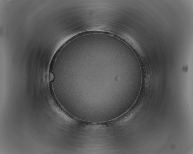 X0000092220884200709281041