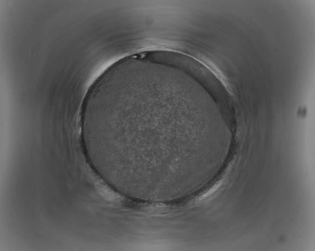 X0000092220885200709281041