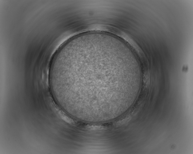 X0000092220886200709281041