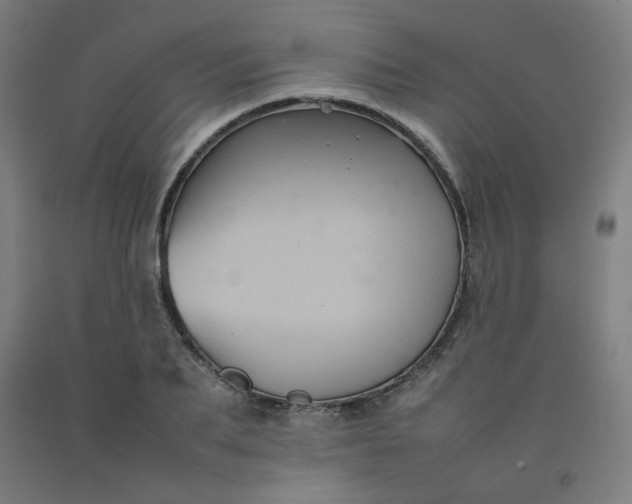 X0000092220887200709281041