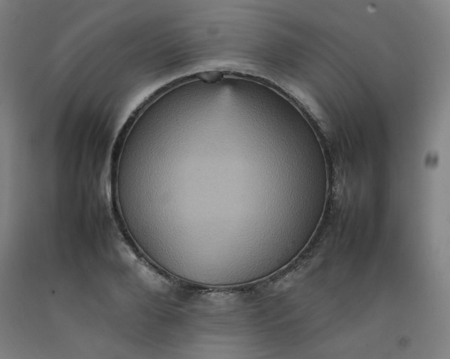 X0000092220888200709281041