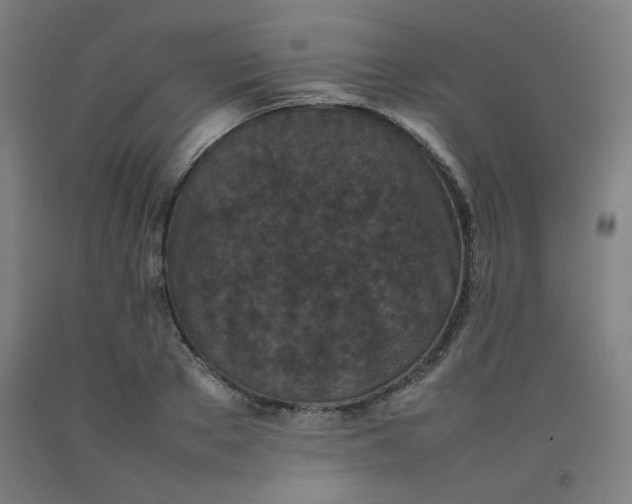 X0000092220889200709281041