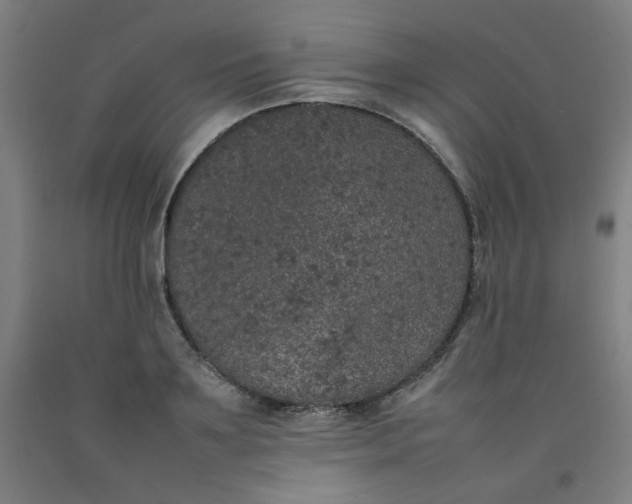 X0000092220891200709281041