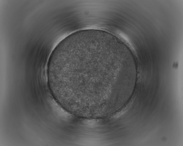X0000092220892200709281041