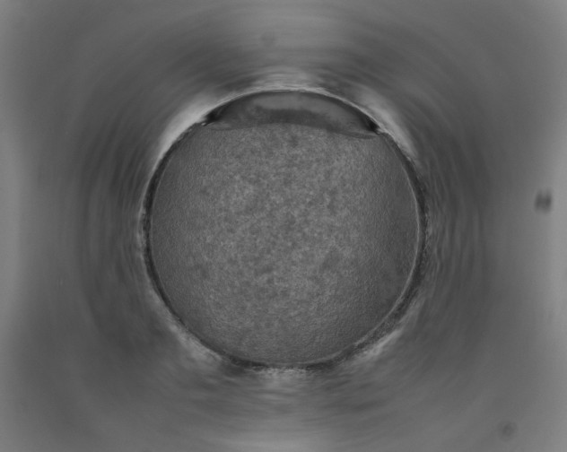 X0000092220893200709281041