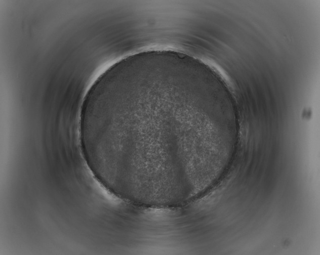 X0000092220894200709281041