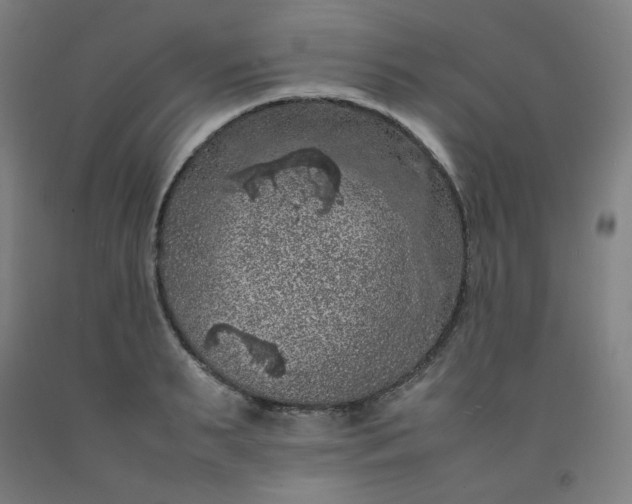 X0000092220895200709281041