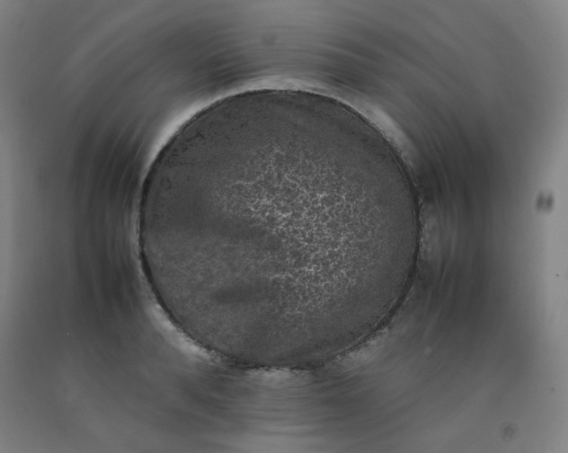 X0000092220896200709281041
