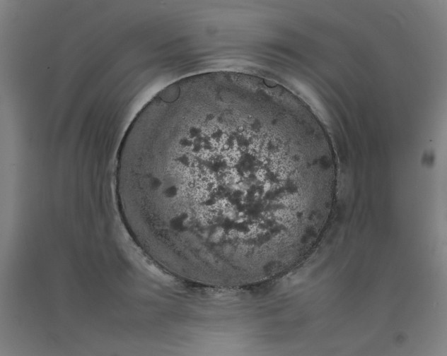 X0000092220899200709281041