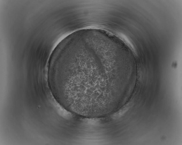 X0000092220900200709281041