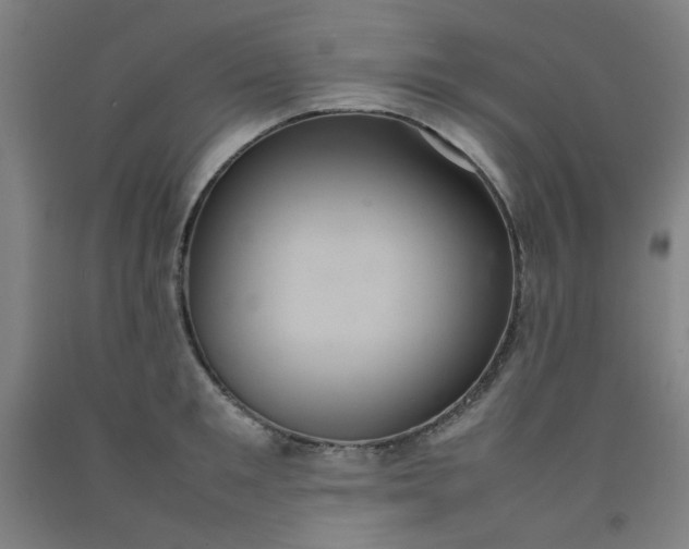 X0000092220901200709281041
