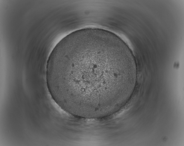 X0000092220903200709281041