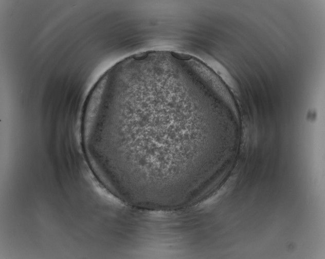 X0000092220904200709281041