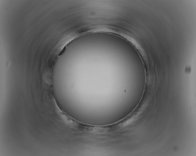 X0000092220905200709281041