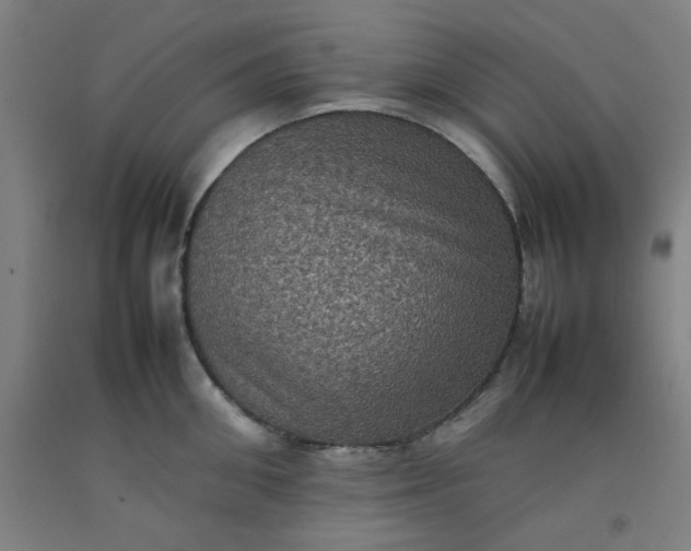 X0000092220906200709281041