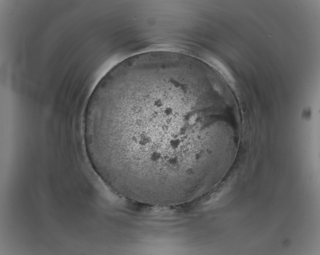 X0000092220907200709281041