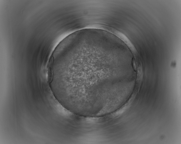 X0000092220908200709281041