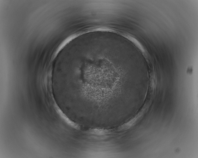 X0000092220910200709281040
