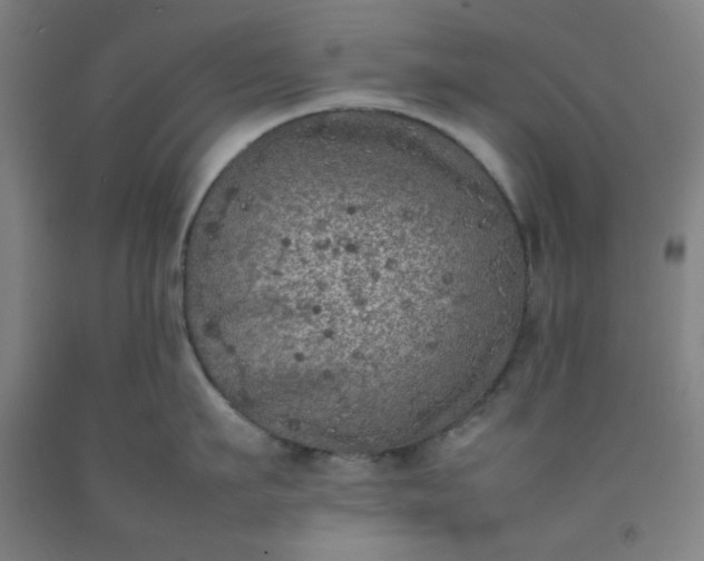 X0000092220911200709281040