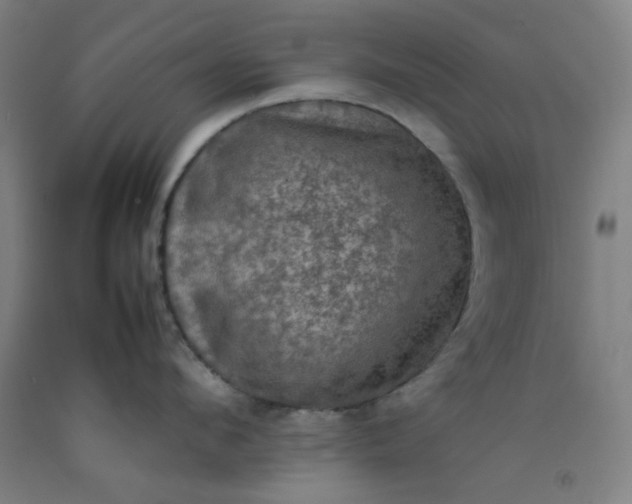 X0000092220912200709281040