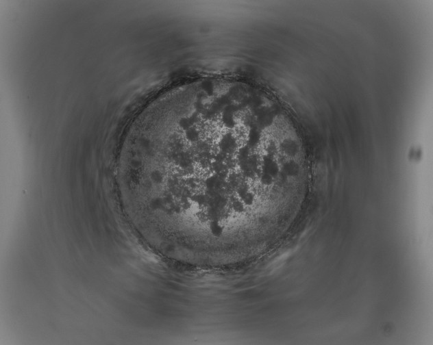 X0000092220913200709281040