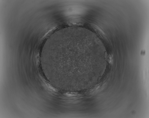 X0000092220915200709281040