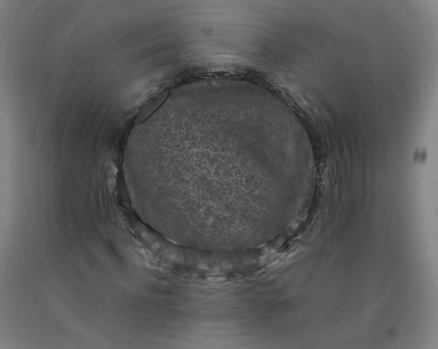 X0000092220916200709281040